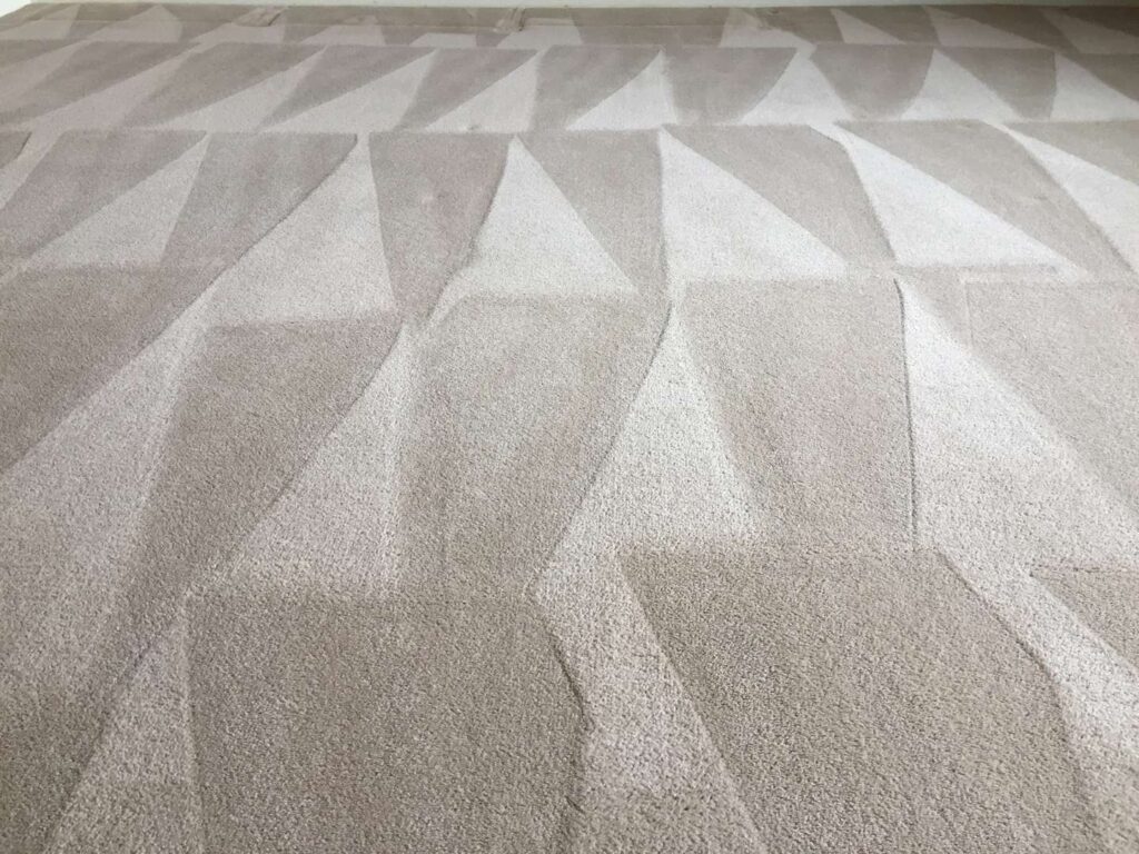 Pro Carpet Care 101: Avoid These 4 DIY Mistakes