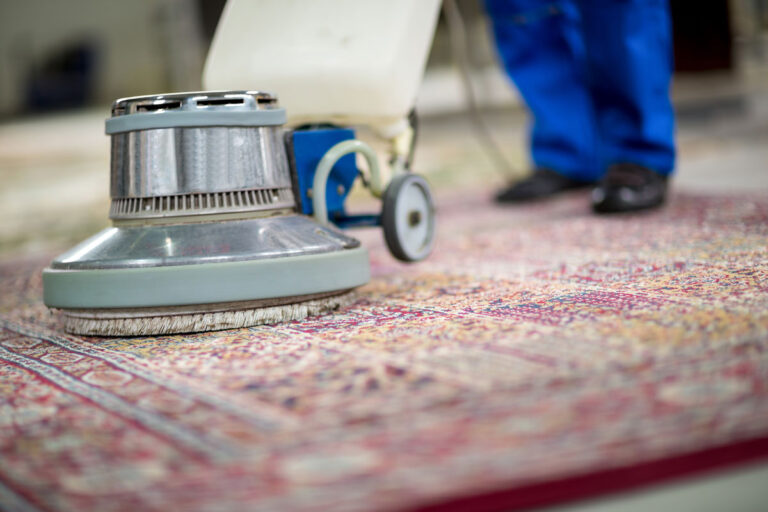 Carpet & Rug Cleaning